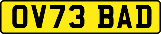 OV73BAD