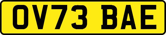 OV73BAE