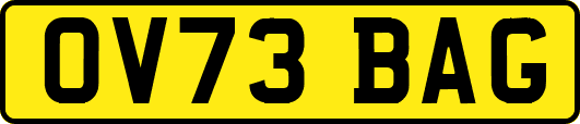 OV73BAG