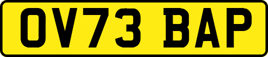OV73BAP