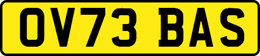 OV73BAS