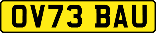 OV73BAU