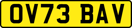 OV73BAV