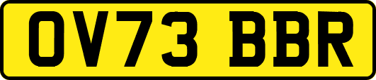 OV73BBR