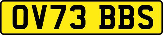 OV73BBS