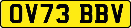 OV73BBV
