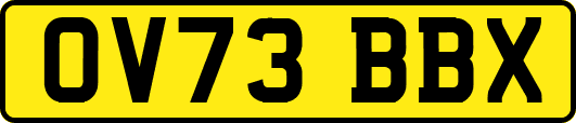 OV73BBX