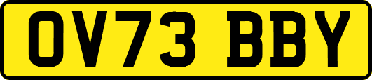 OV73BBY