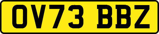 OV73BBZ
