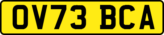 OV73BCA