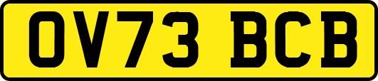 OV73BCB