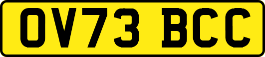 OV73BCC