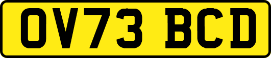 OV73BCD