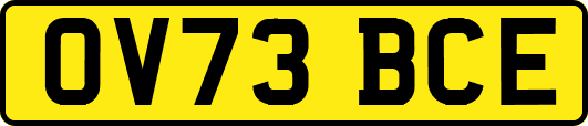 OV73BCE