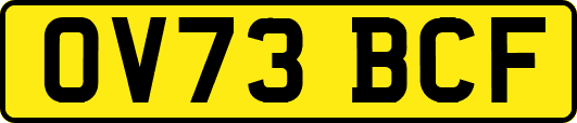 OV73BCF