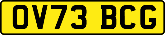 OV73BCG