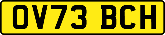 OV73BCH