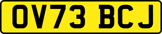 OV73BCJ