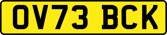 OV73BCK