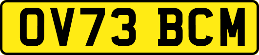 OV73BCM
