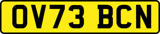 OV73BCN