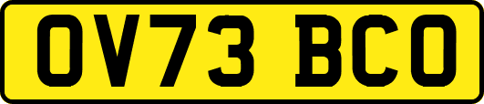 OV73BCO
