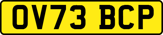 OV73BCP