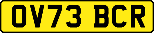 OV73BCR