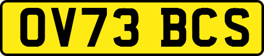 OV73BCS