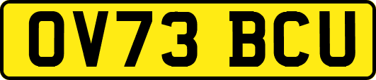 OV73BCU