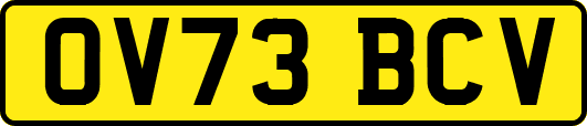 OV73BCV