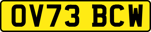 OV73BCW