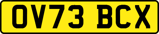 OV73BCX