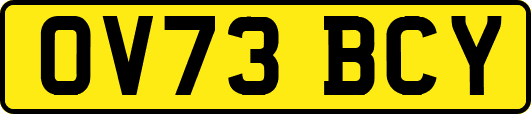 OV73BCY