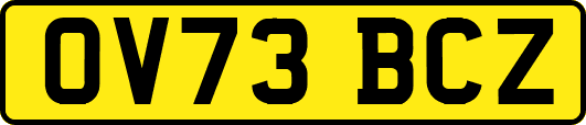 OV73BCZ