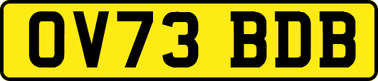 OV73BDB
