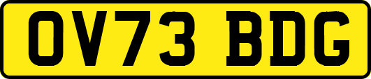 OV73BDG