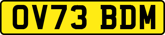 OV73BDM