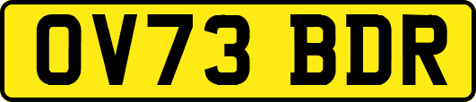OV73BDR