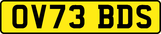 OV73BDS