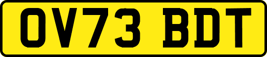 OV73BDT