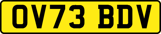 OV73BDV