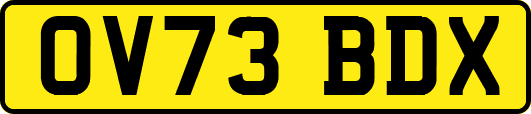 OV73BDX