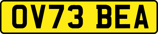 OV73BEA