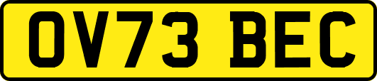 OV73BEC