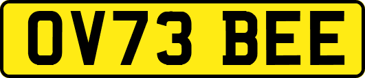 OV73BEE