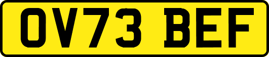 OV73BEF