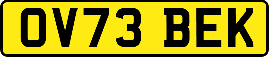 OV73BEK
