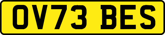 OV73BES