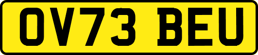 OV73BEU